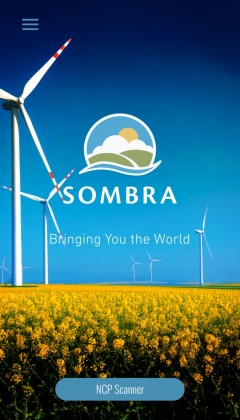 The Sombra Group – 04